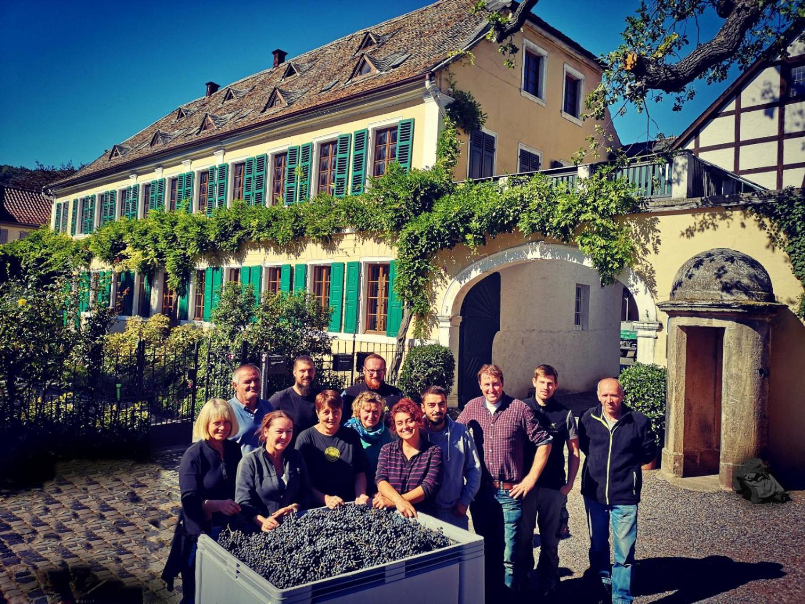 Unterkunft Im Weingut Fitz-Ritter Bad Dürkheim Εξωτερικό φωτογραφία