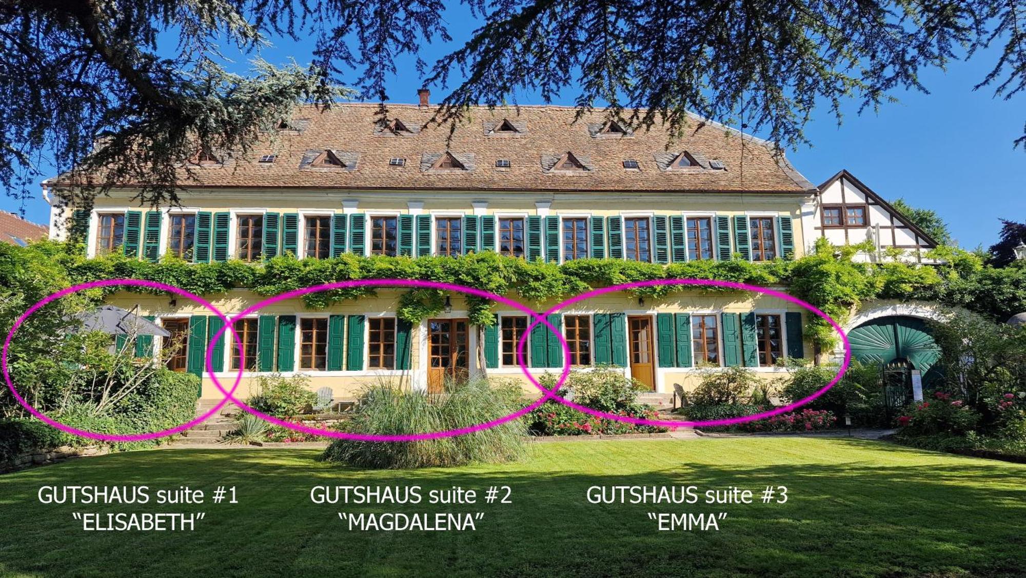 Unterkunft Im Weingut Fitz-Ritter Bad Dürkheim Εξωτερικό φωτογραφία