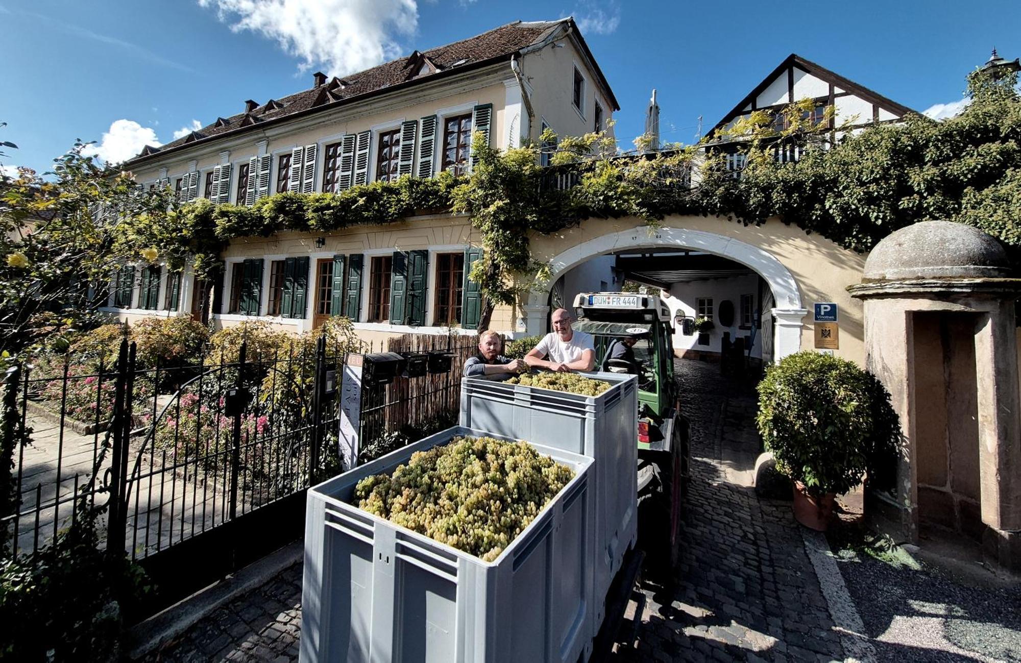 Unterkunft Im Weingut Fitz-Ritter Bad Dürkheim Εξωτερικό φωτογραφία